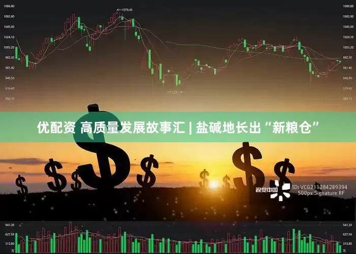 优配资 高质量发展故事汇 | 盐碱地长出“新粮仓”